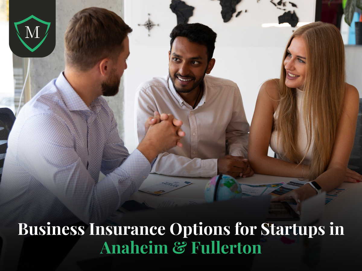 Custom insurance solution graphic